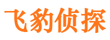 西吉市侦探调查公司